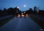 Foto: Weszli pod pociąg – to było samobójstwo
