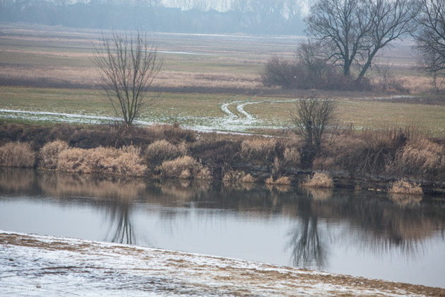 Narew 7 stycznia 2020 roku, okolice mostu Hubala.