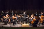 Foto: Łomżyńska Filharmonia Kameralna  im. Witolda Lutosławskiego