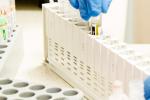 Foto: Komercyjne testy na koronawirusa w Łomży