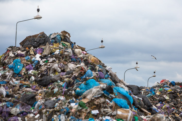 Hałda śmieci na wysypisku w Czartorii