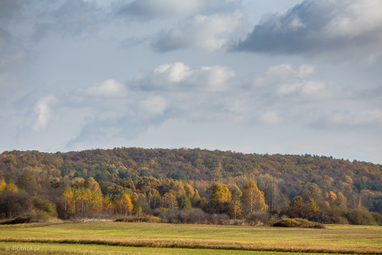 Początek jesieni w Rezerwacie Kalinowo