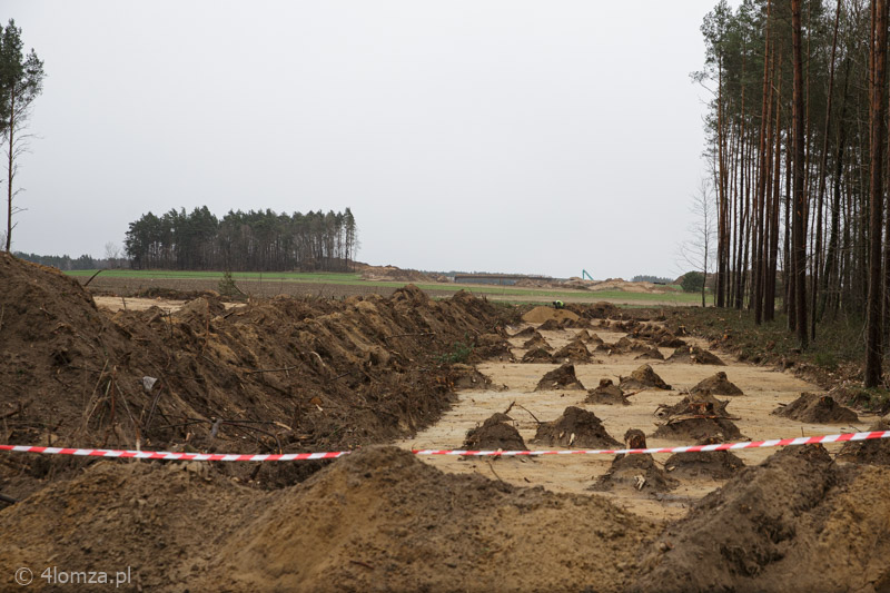 Usuwanie drzew w okolicach Sierzput Młodych na odcinku TOTO S.p.A., w tle budowany przez Mota-Engil inny fragment Via Baltiki (14.04.2021)