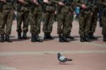 Foto: Siedmiokrotnie większe zainteresowanie służbą w...