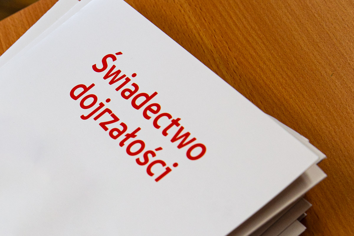 Główne zdjęcie