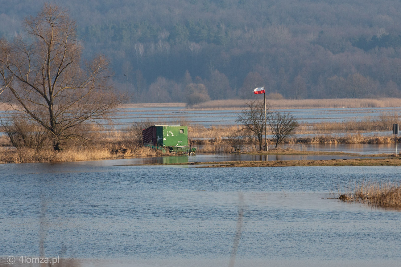 Główne zdjęcie