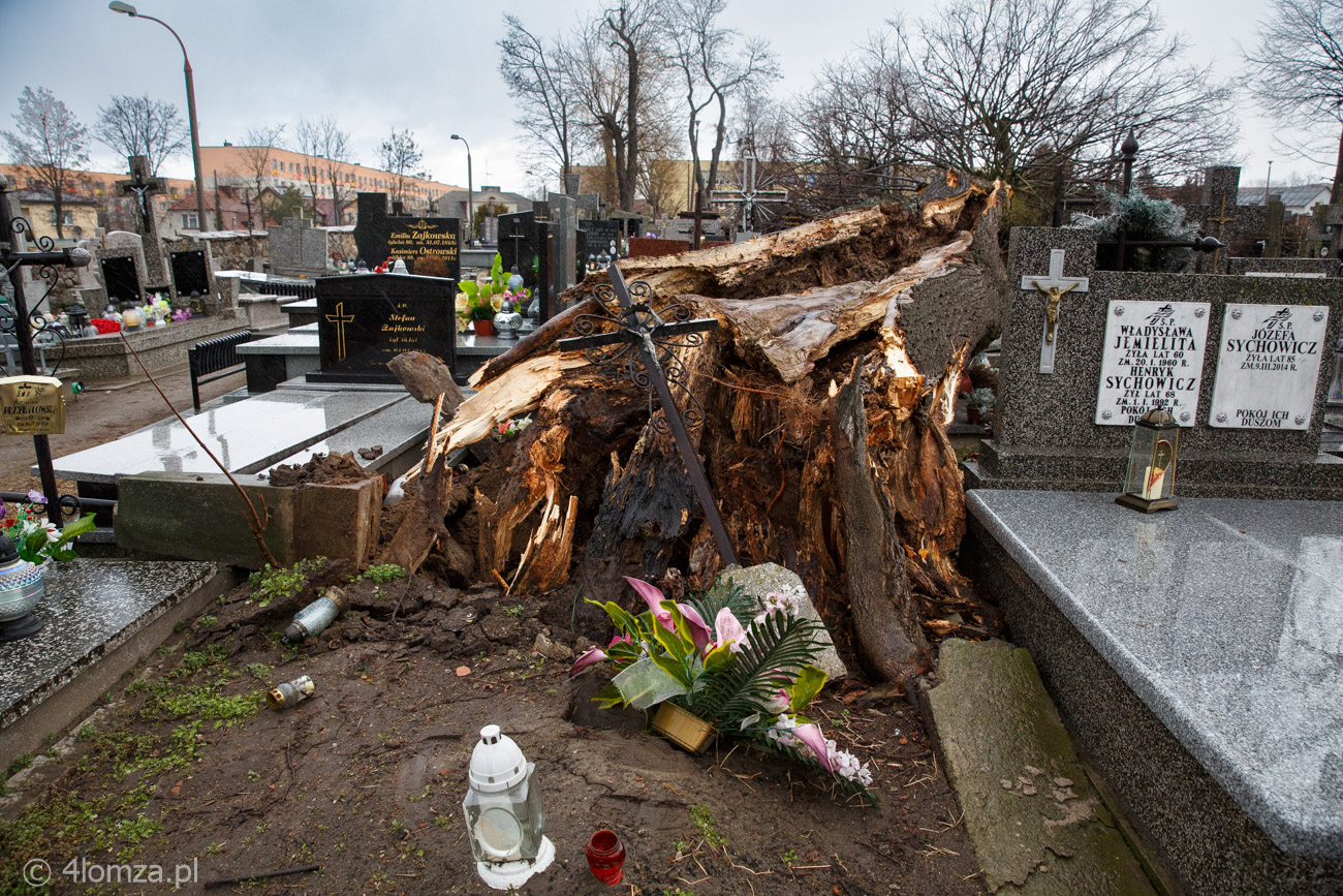 Skutki wichury z 19 lutego 2022 roku na cmentarzu starym w Łomży.