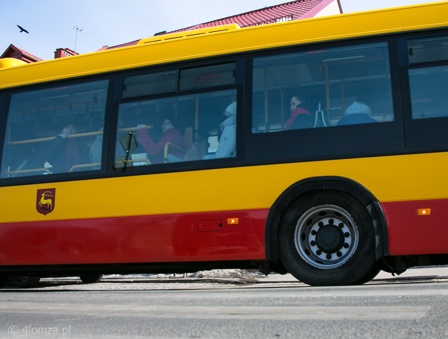 Główne zdjęcie