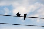 Foto: Diecezjanie wolą rozwody cywilne niż „kościelne”