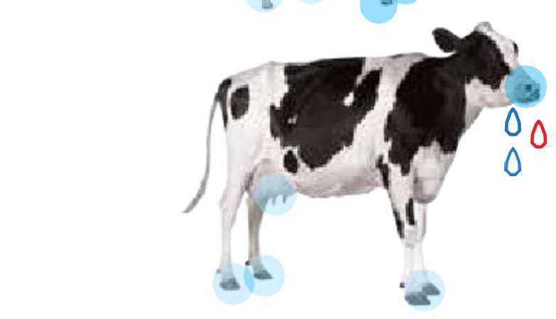 Główne zdjęcie