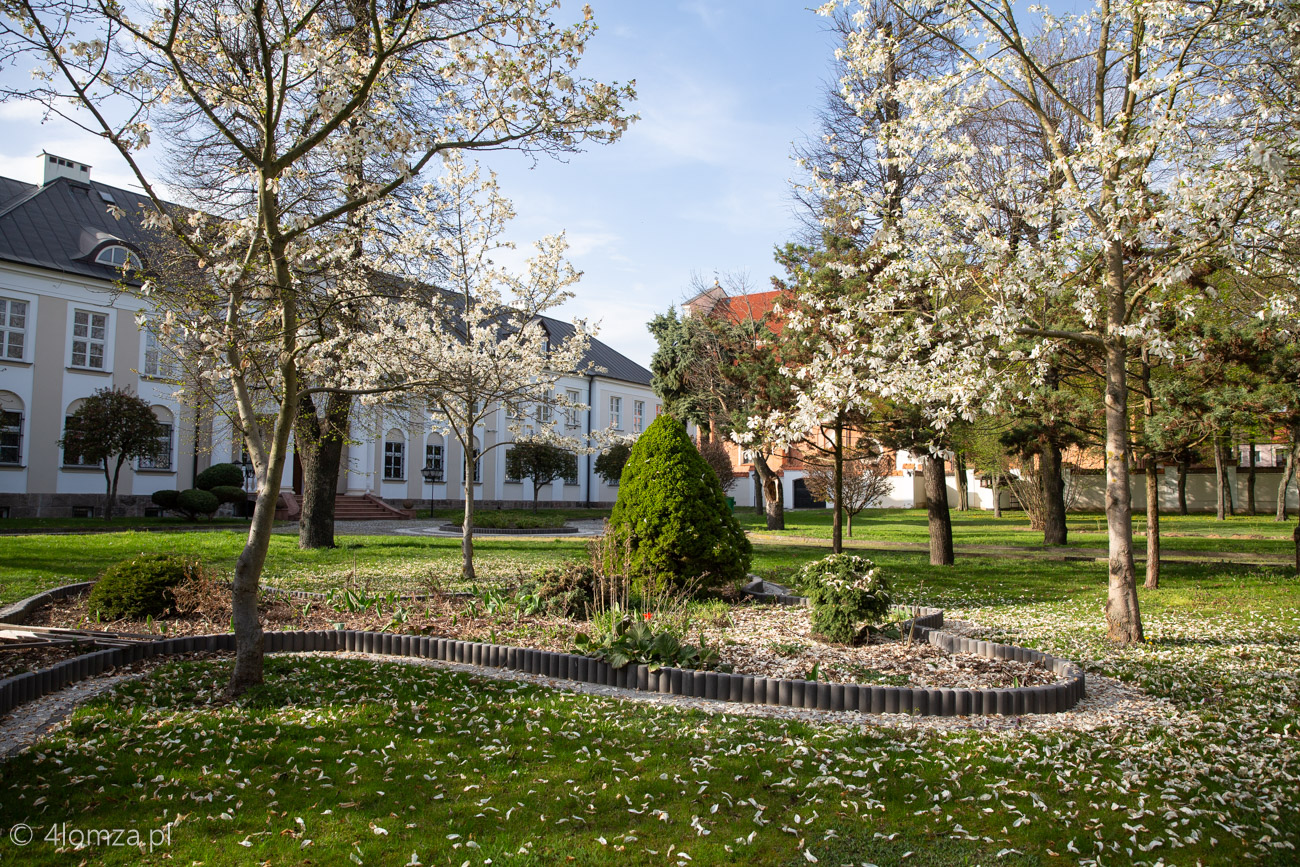 Główne zdjęcie