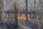 Foto: Strażacy liczą na ujęcie podpalacza(y)