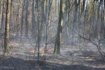 Foto: Pożar pod Taraskowem
