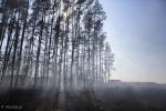 Foto: Pożar pod Taraskowem