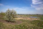 Foto: Pogoda na święta wielkanocne
