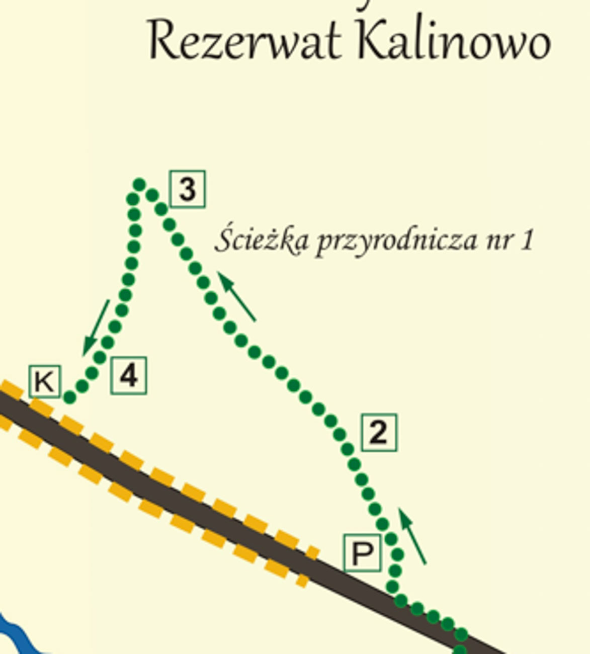 ŚCIEŻKA  KALINOWO.jpg