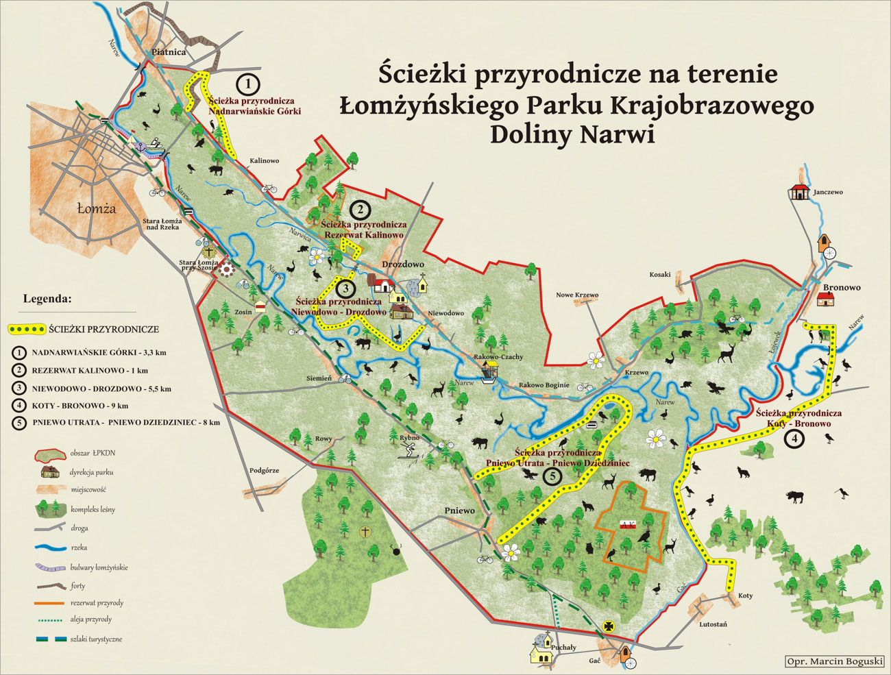 Główne zdjęcie
