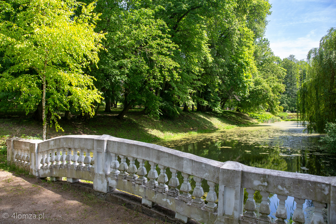 Główne zdjęcie
