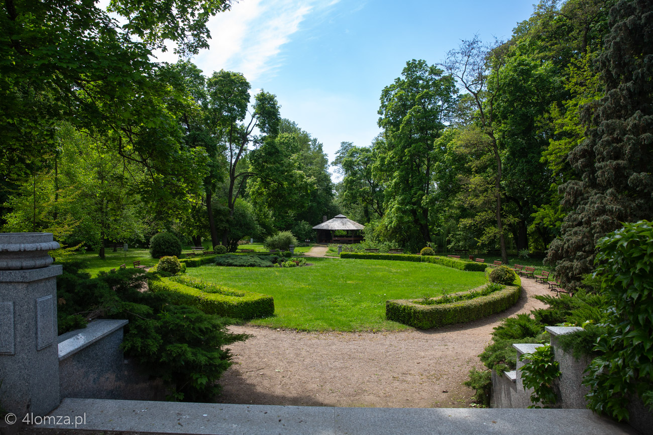 Główne zdjęcie