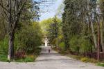 Foto: Wycinki drzew w miejskich parkach