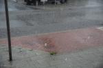 Foto: 